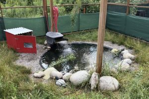 Waterbird & aquatic turtle pen