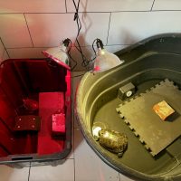 Turtle wintering room