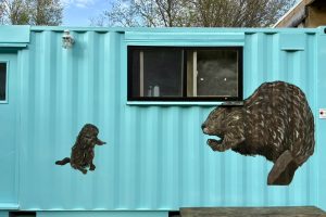 Wildlife Nursery Seacan