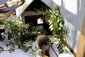 Flex Pen Inside View