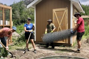 volunteers building beaver hotel