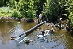 Floating a pond leveler into place