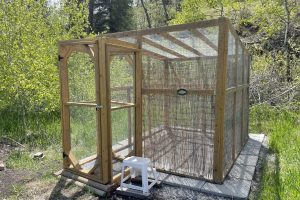 Squirrel_Enclosure_Unfurnished